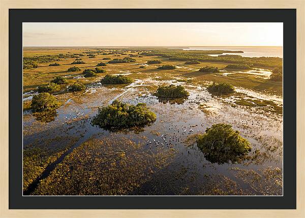 Everglades Serenity At Dusk