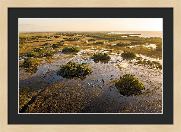 Everglades Serenity At Dusk