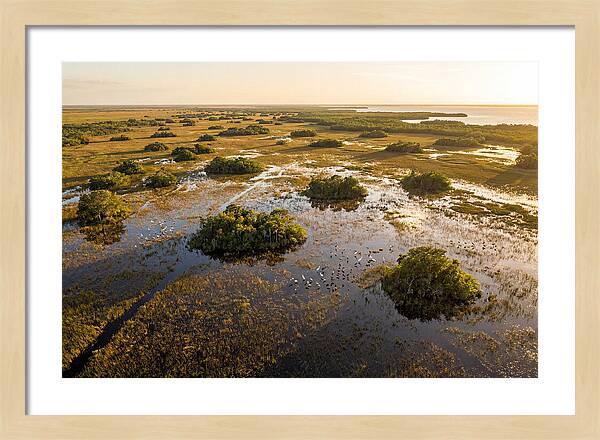 Everglades Serenity At Dusk