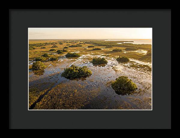 Everglades Serenity At Dusk
