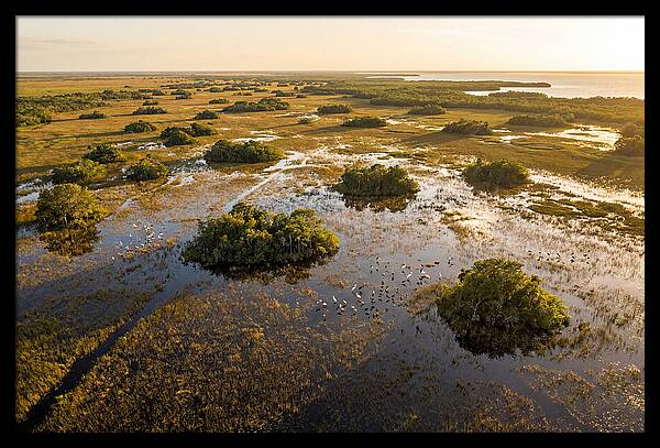 Everglades Serenity At Dusk