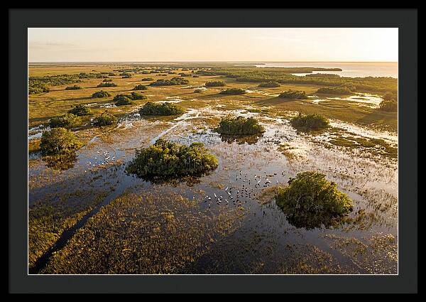 Everglades Serenity At Dusk