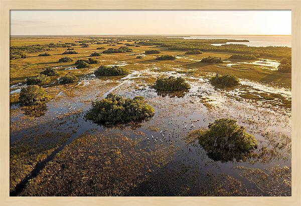 Everglades Serenity At Dusk