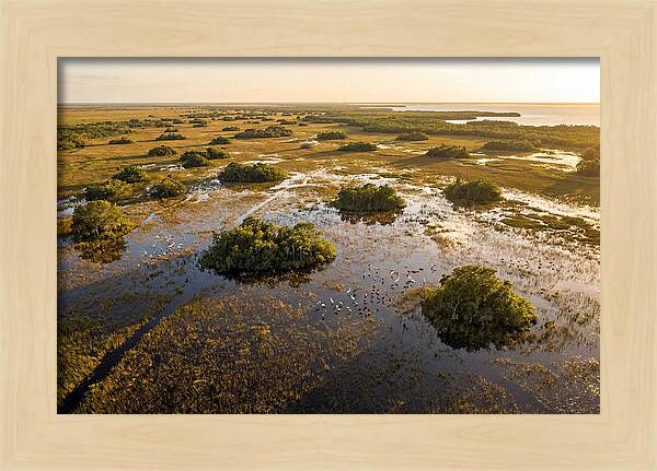 Everglades Serenity At Dusk