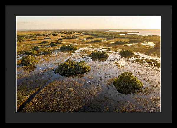 Everglades Serenity At Dusk