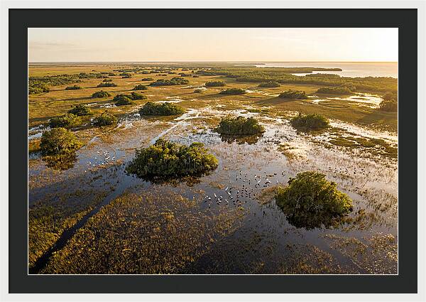 Everglades Serenity At Dusk