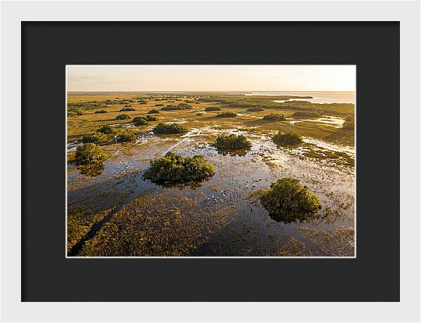 Everglades Serenity At Dusk