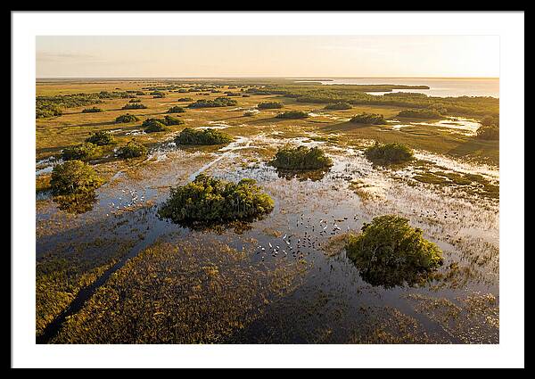 Everglades Serenity At Dusk