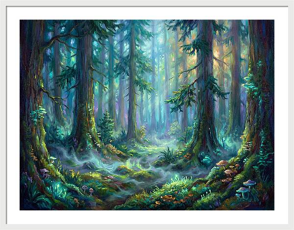 Evergreen Forest