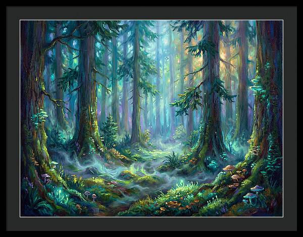 Evergreen Forest