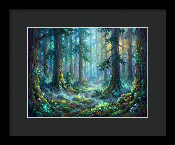 Evergreen Forest