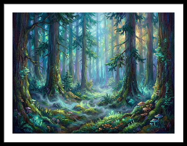Evergreen Forest