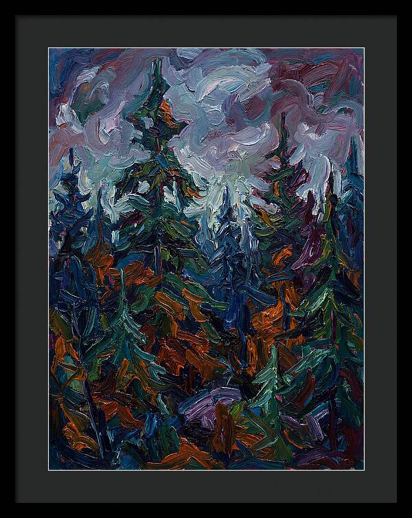 Evergreen Forest Serenity