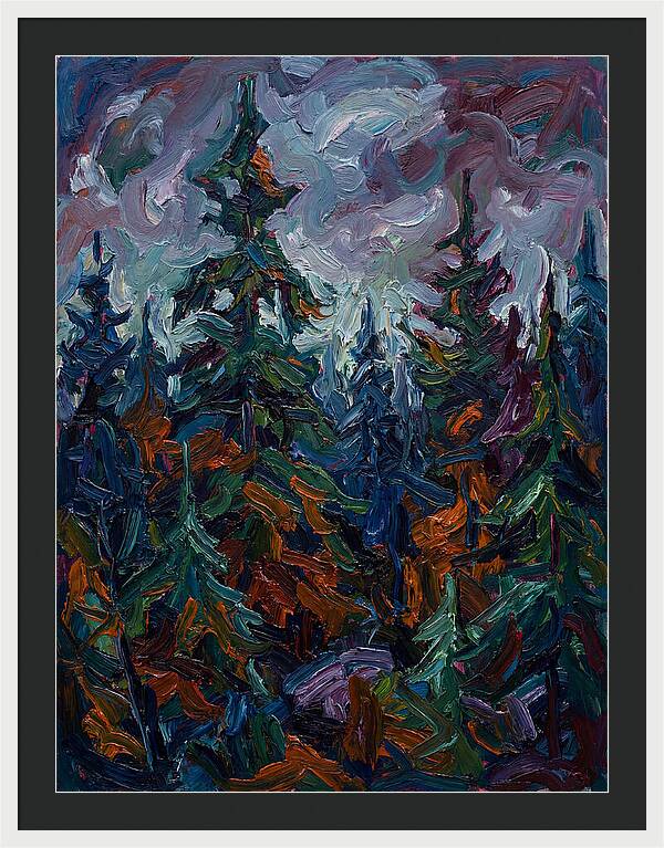 Evergreen Forest Serenity