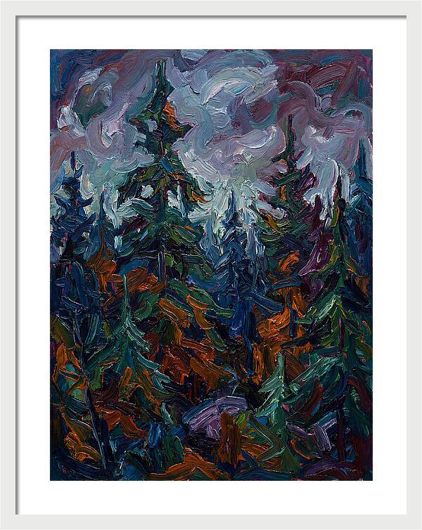 Evergreen Forest Serenity