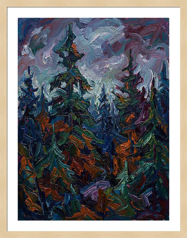 Evergreen Forest Serenity