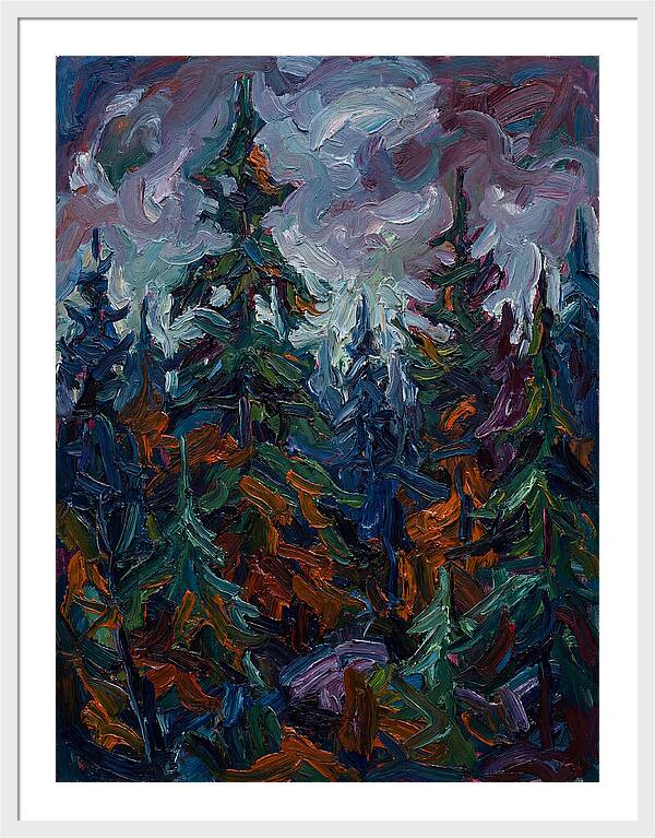 Evergreen Forest Serenity