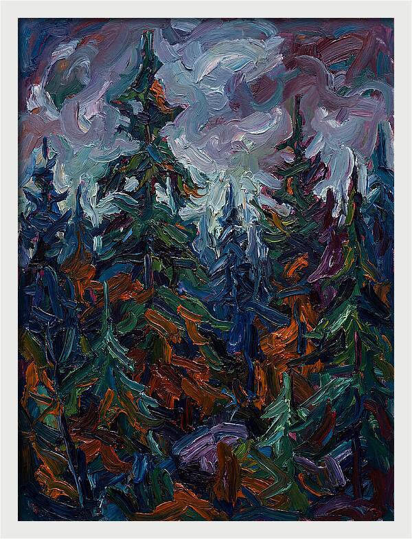 Evergreen Forest Serenity