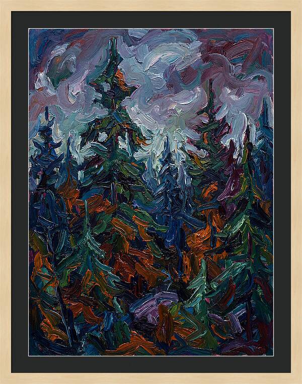 Evergreen Forest Serenity