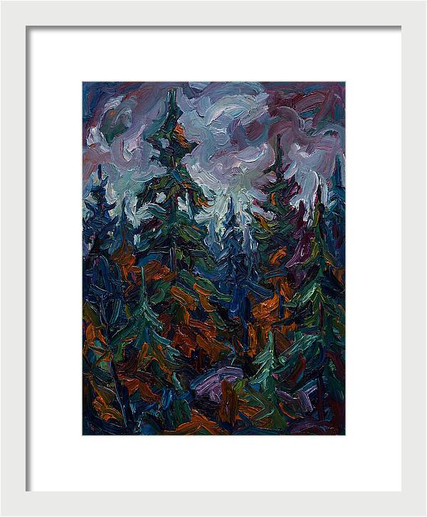 Evergreen Forest Serenity