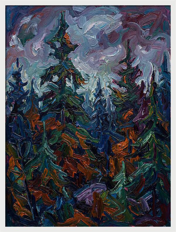 Evergreen Forest Serenity