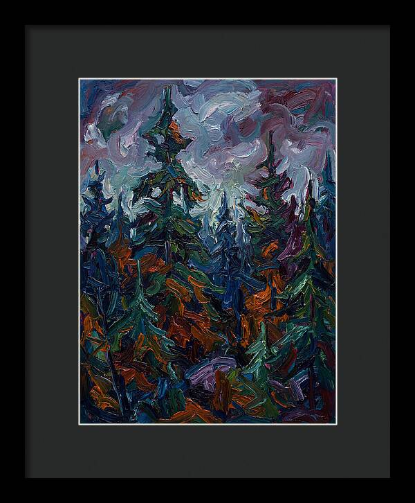 Evergreen Forest Serenity