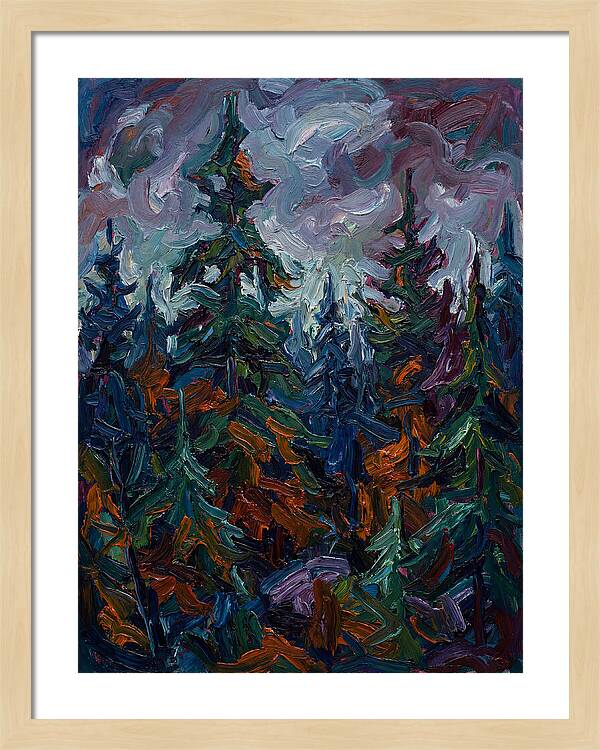 Evergreen Forest Serenity