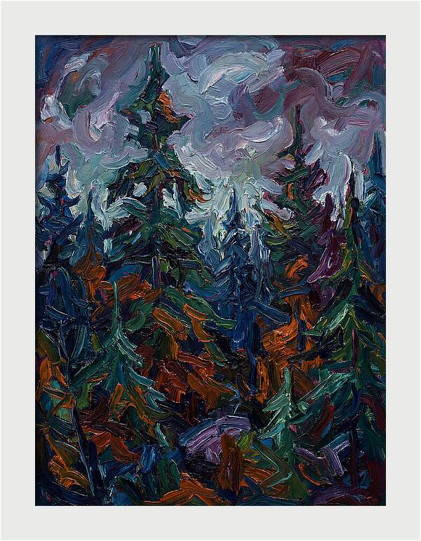 Evergreen Forest Serenity