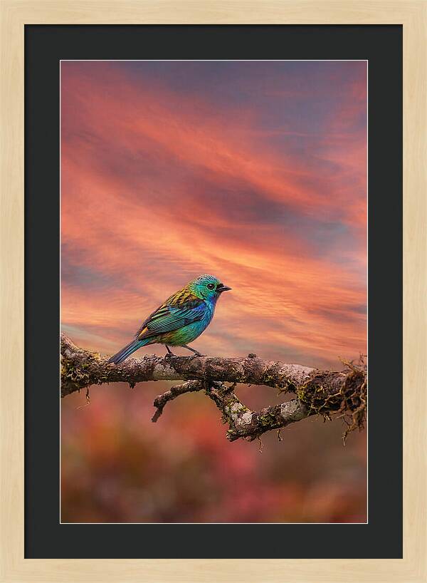 Exotic Bird Perched On Branch