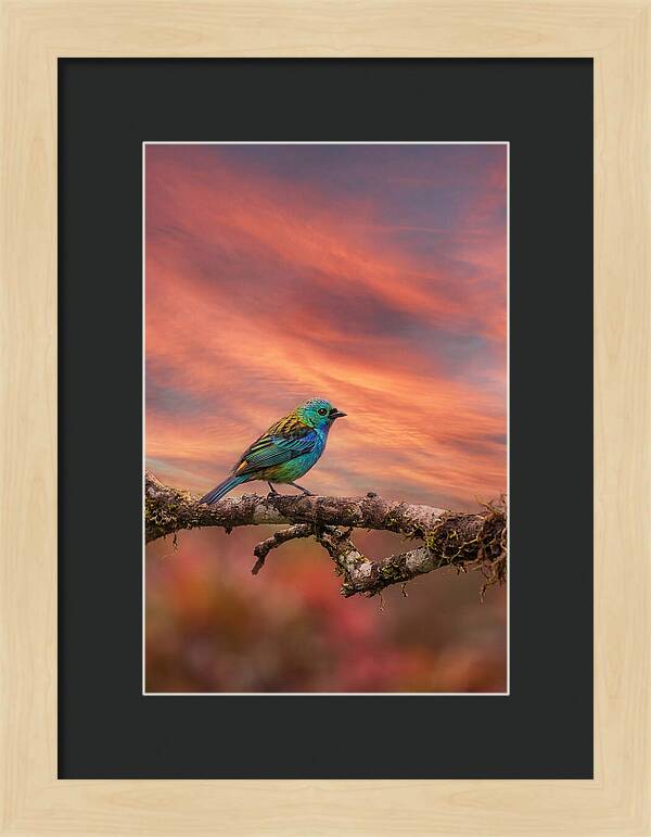 Exotic Bird Perched On Branch