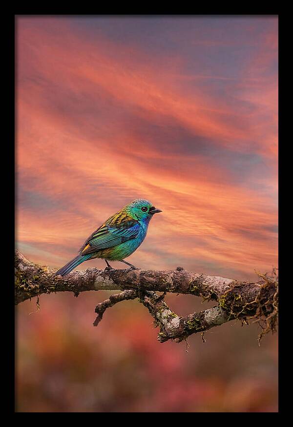 Exotic Bird Perched On Branch