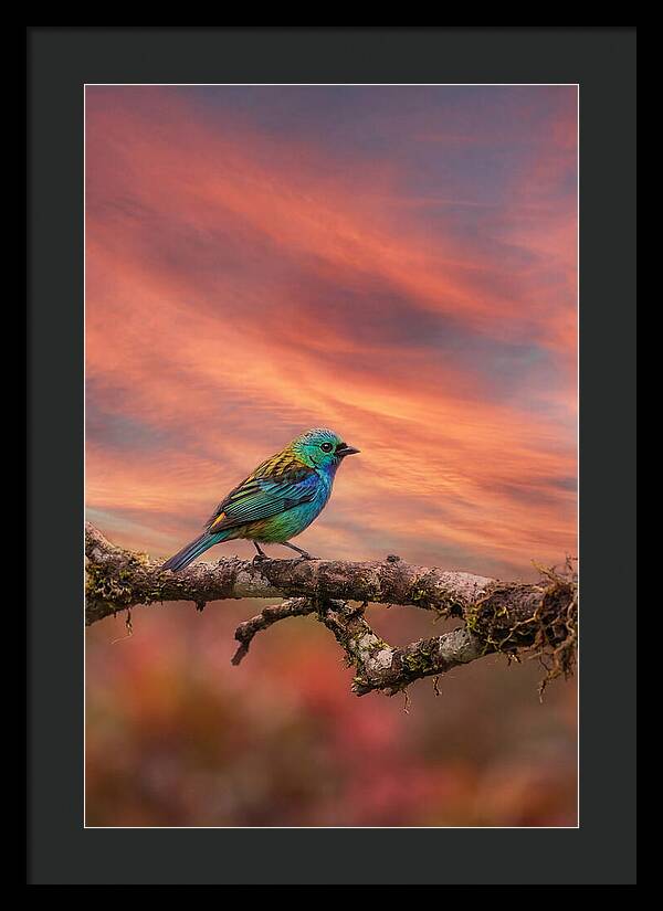 Exotic Bird Perched On Branch