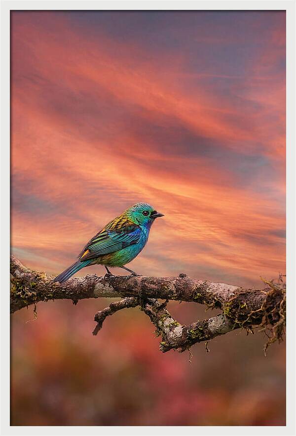 Exotic Bird Perched On Branch