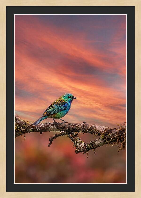 Exotic Bird Perched On Branch
