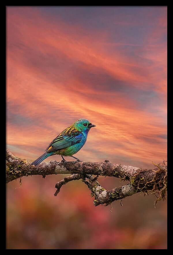 Exotic Bird Perched On Branch