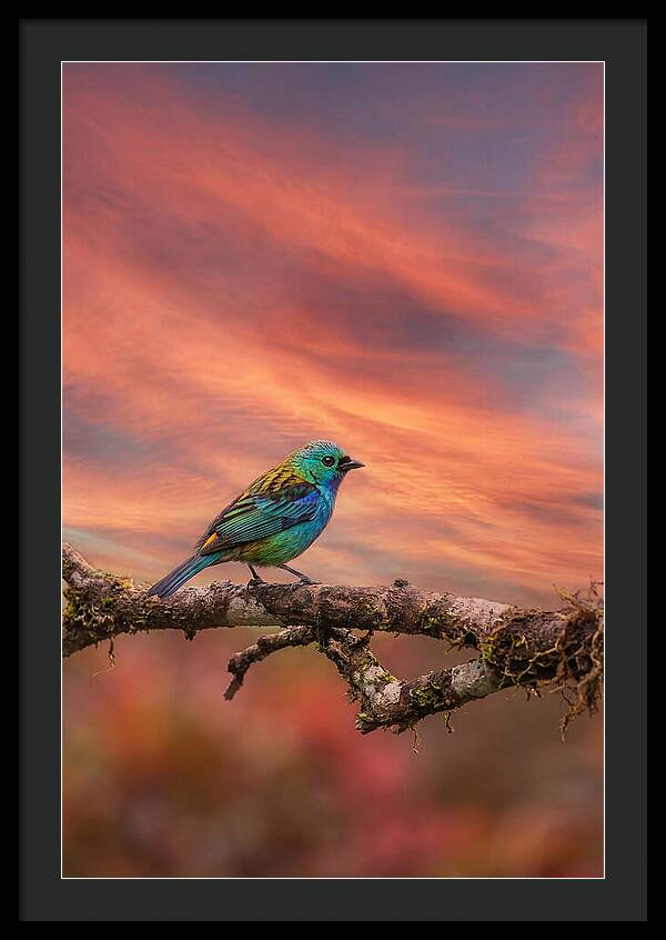 Exotic Bird Perched On Branch
