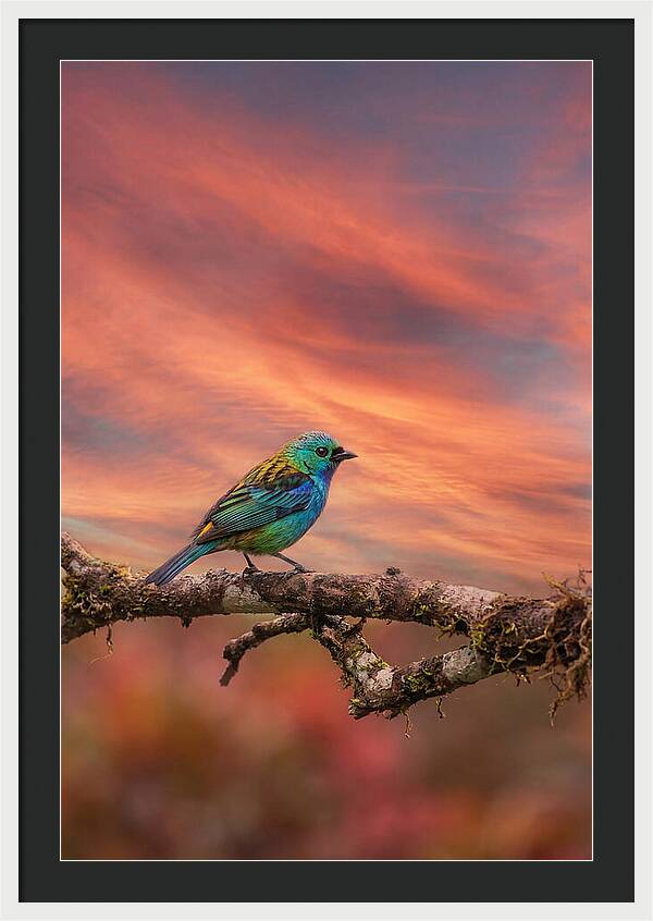 Exotic Bird Perched On Branch