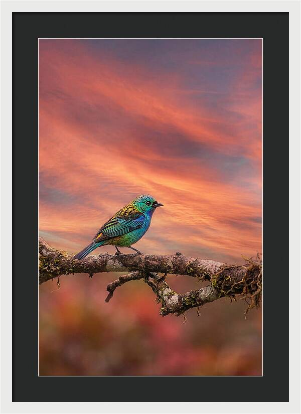 Exotic Bird Perched On Branch