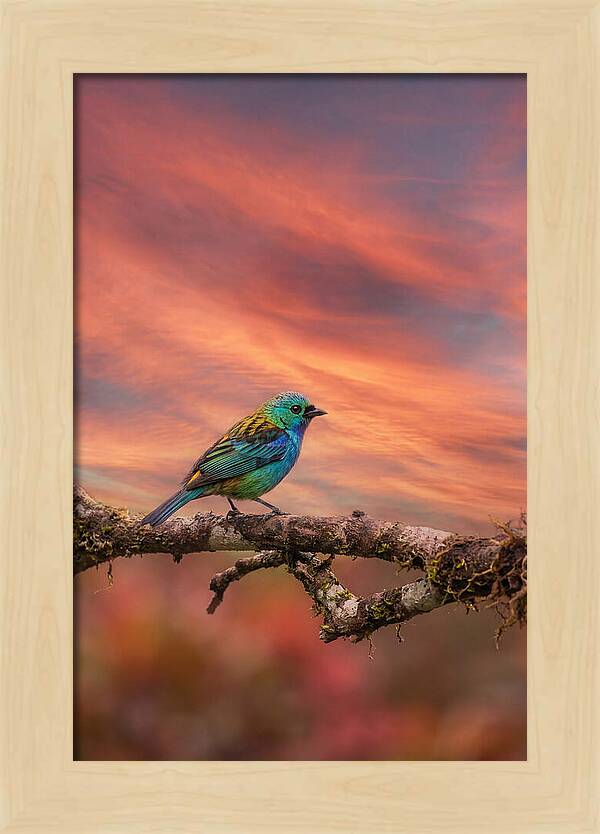 Exotic Bird Perched On Branch