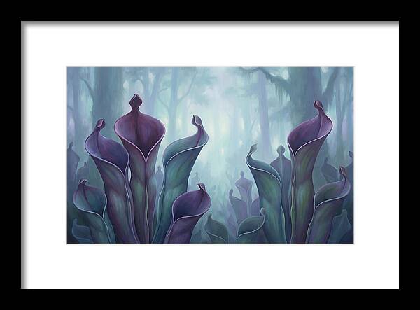 Exotic Heliamphora Pitcher Plants