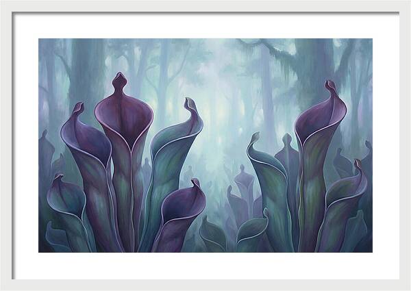 Exotic Heliamphora Pitcher Plants