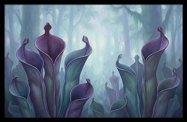Exotic Heliamphora Pitcher Plants