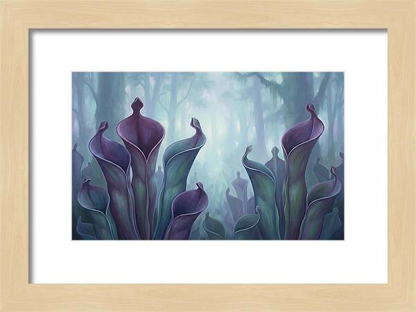 Exotic Heliamphora Pitcher Plants