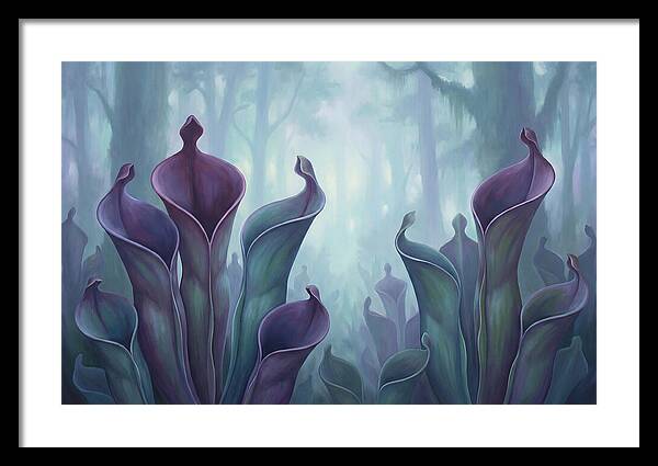 Exotic Heliamphora Pitcher Plants