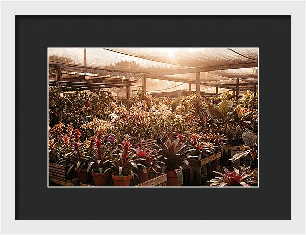 Exotic Plant Paradise