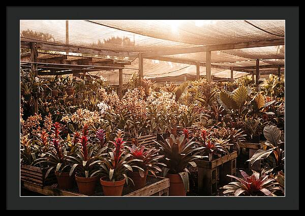 Exotic Plant Paradise