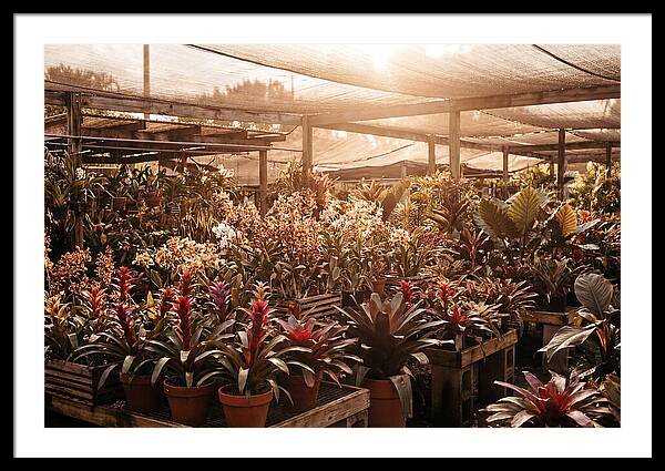 Exotic Plant Paradise