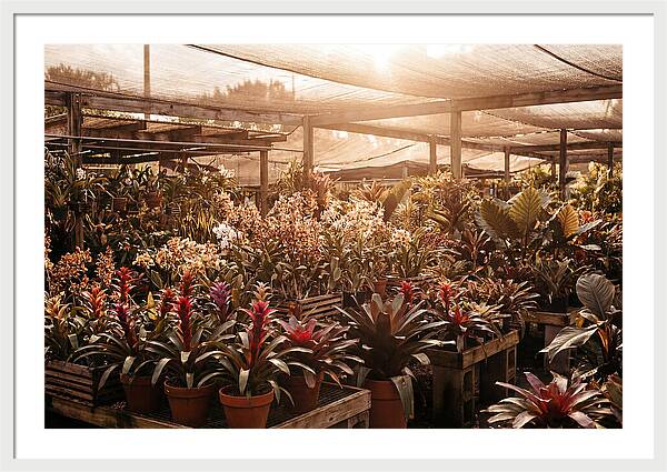 Exotic Plant Paradise
