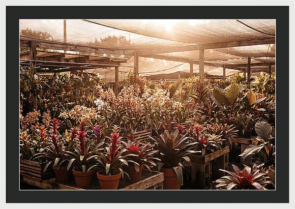 Exotic Plant Paradise