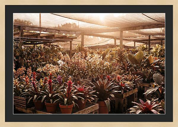Exotic Plant Paradise